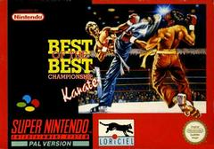 Best Of The Best Championship Karate SNES
