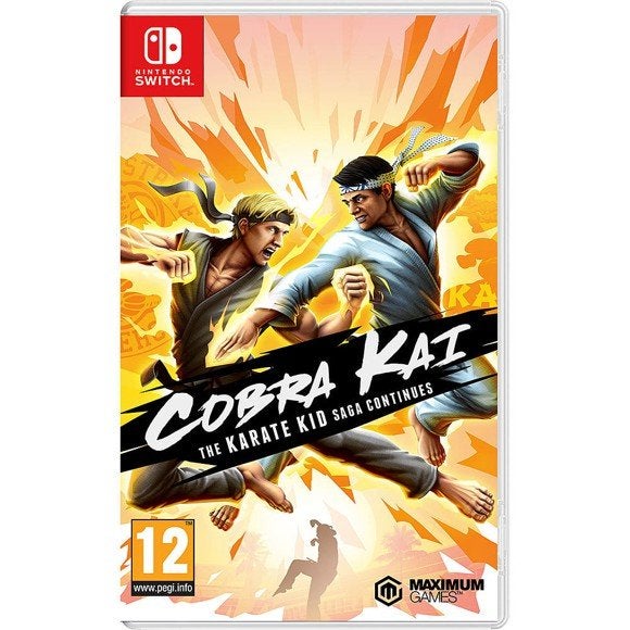 Cobra Kai The Karate Kid Saga Switch