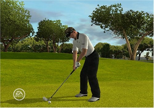 Tiger Woods PGA Tour 09 Wii